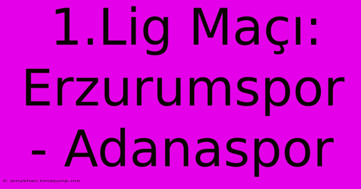 1.Lig Maçı: Erzurumspor - Adanaspor 1.Lig Maçı: Erzurumspor - Adanaspor