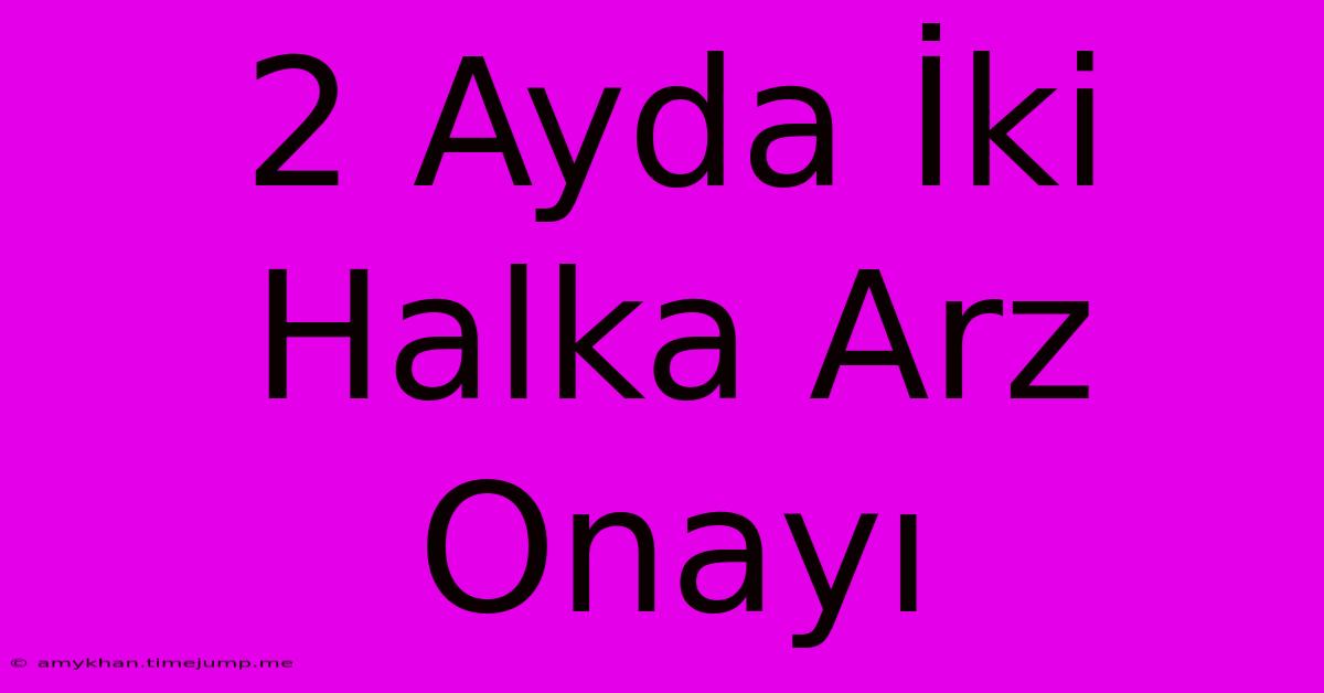 2 Ayda İki Halka Arz Onayı