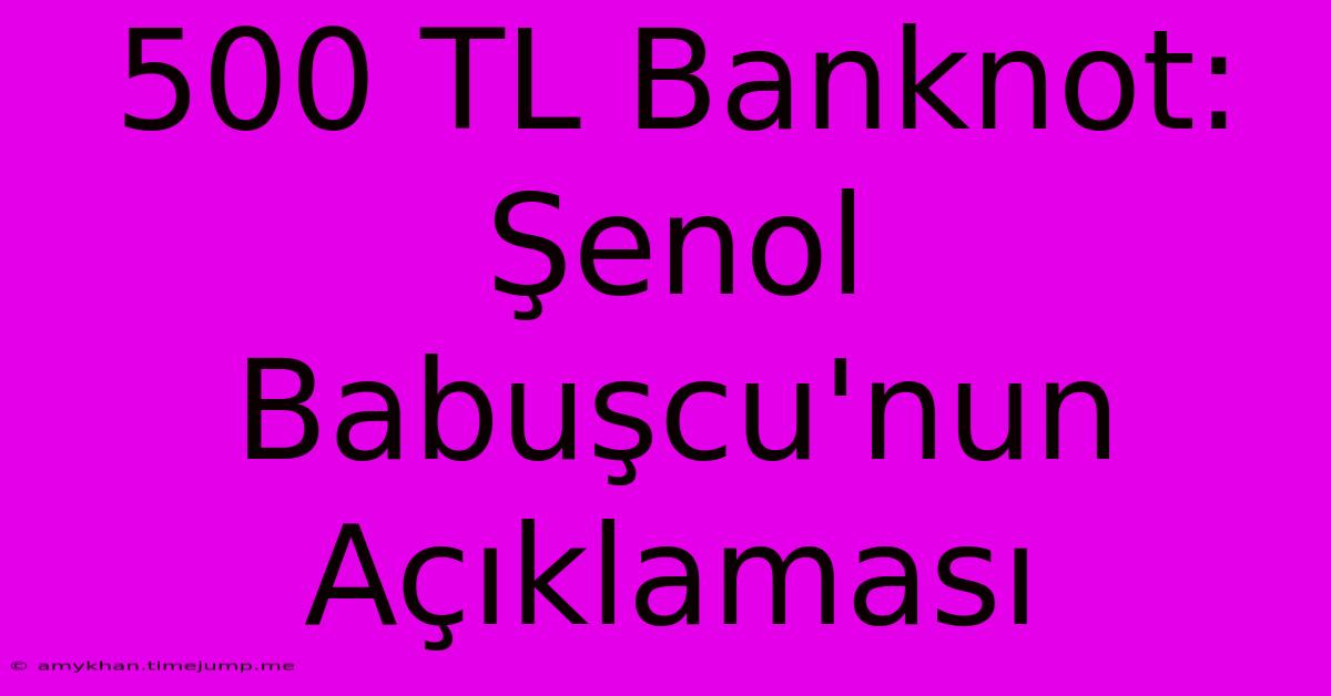 500 TL Banknot: Şenol Babuşcu'nun Açıklaması