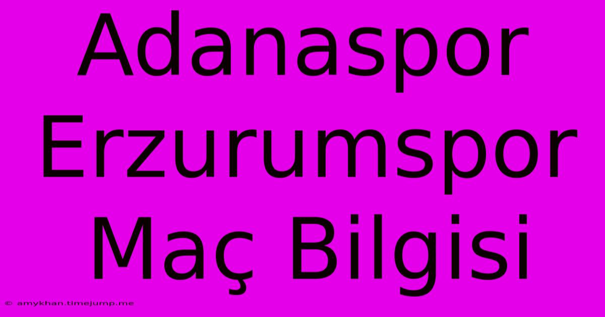 Adanaspor Erzurumspor Maç Bilgisi Adanaspor Erzurumspor Maç Bilgisi