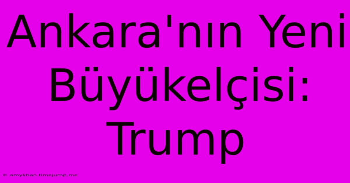 Ankara'nın Yeni Büyükelçisi: Trump