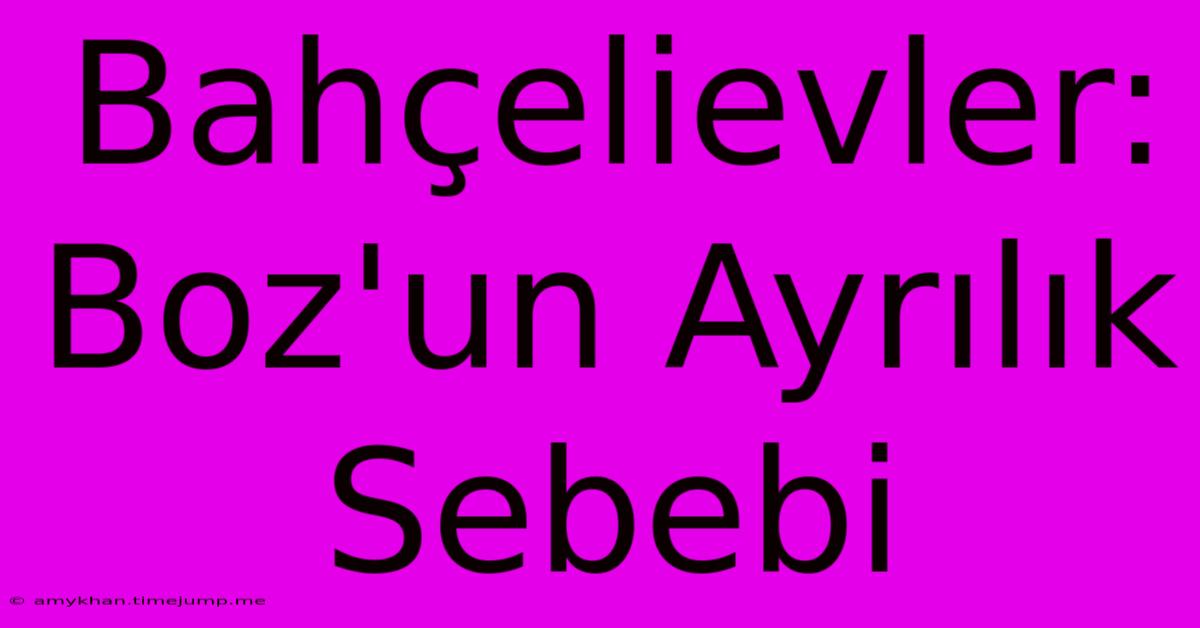 Bahçelievler: Boz'un Ayrılık Sebebi Bahçelievler: Boz'un Ayrılık Sebebi