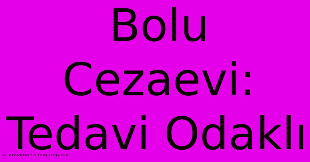 Bolu Cezaevi: Tedavi Odaklı