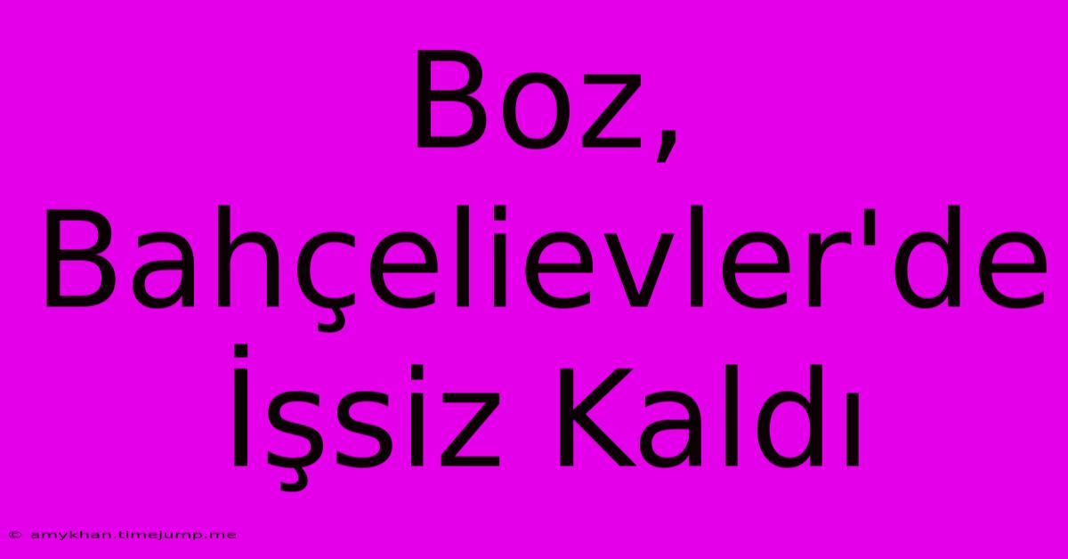 Boz, Bahçelievler'de İşsiz Kaldı Boz, Bahçelievler'de İşsiz Kaldı