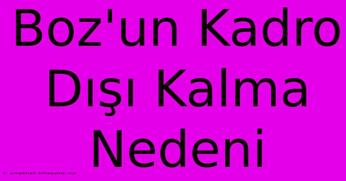 Boz'un Kadro Dışı Kalma Nedeni Boz'un Kadro Dışı Kalma Nedeni