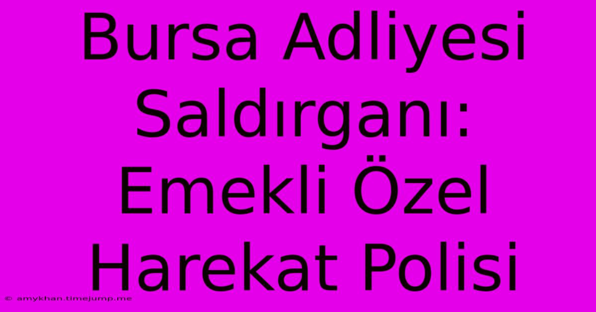 Bursa Adliyesi Saldırganı: Emekli Özel Harekat Polisi