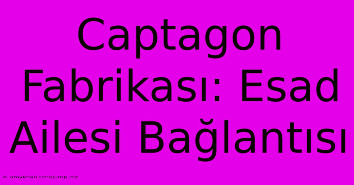 Captagon Fabrikası: Esad Ailesi Bağlantısı