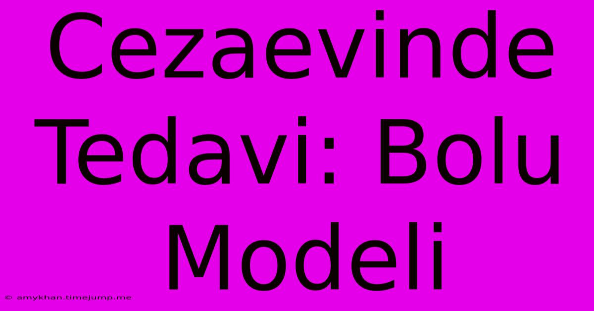 Cezaevinde Tedavi: Bolu Modeli