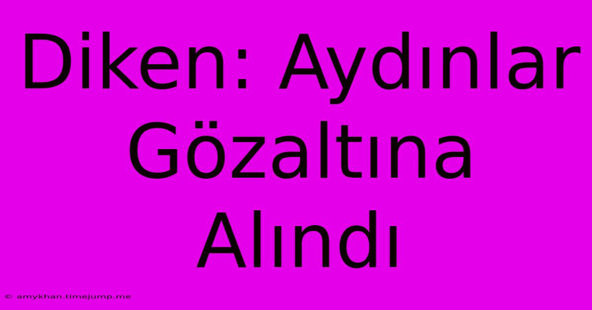 Diken: Aydınlar Gözaltına Alındı