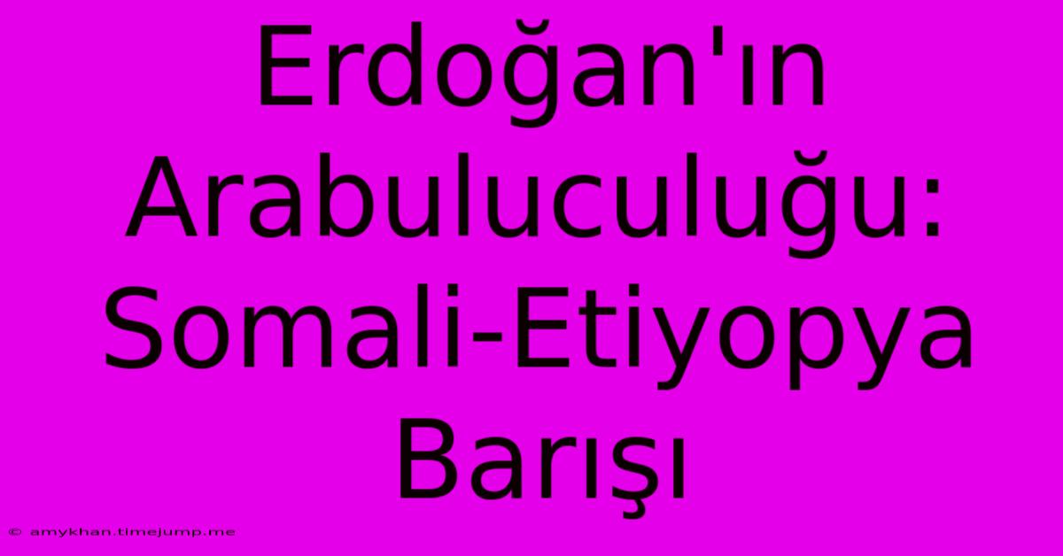 Erdoğan'ın Arabuluculuğu: Somali-Etiyopya Barışı