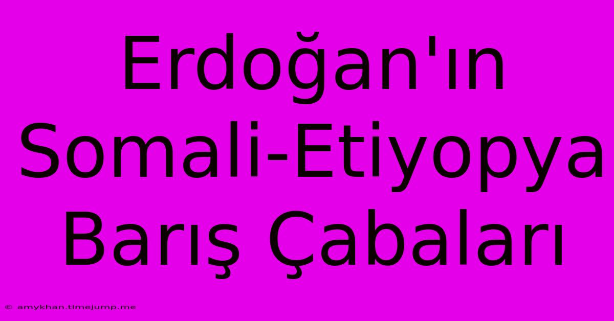 Erdoğan'ın Somali-Etiyopya Barış Çabaları