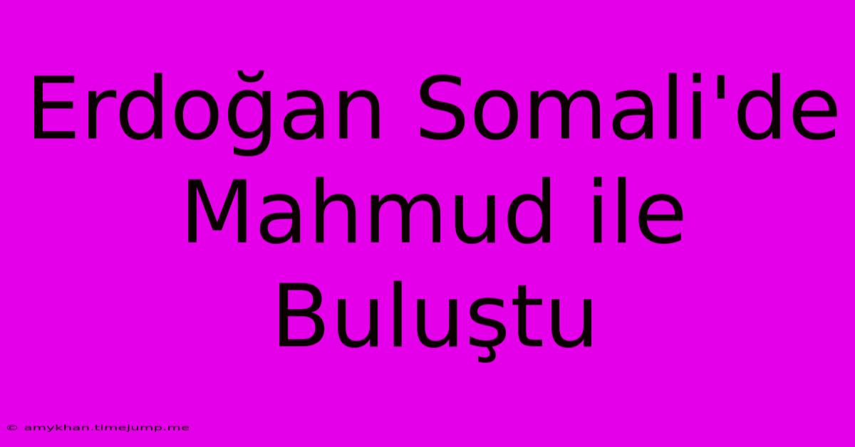 Erdoğan Somali'de Mahmud Ile Buluştu