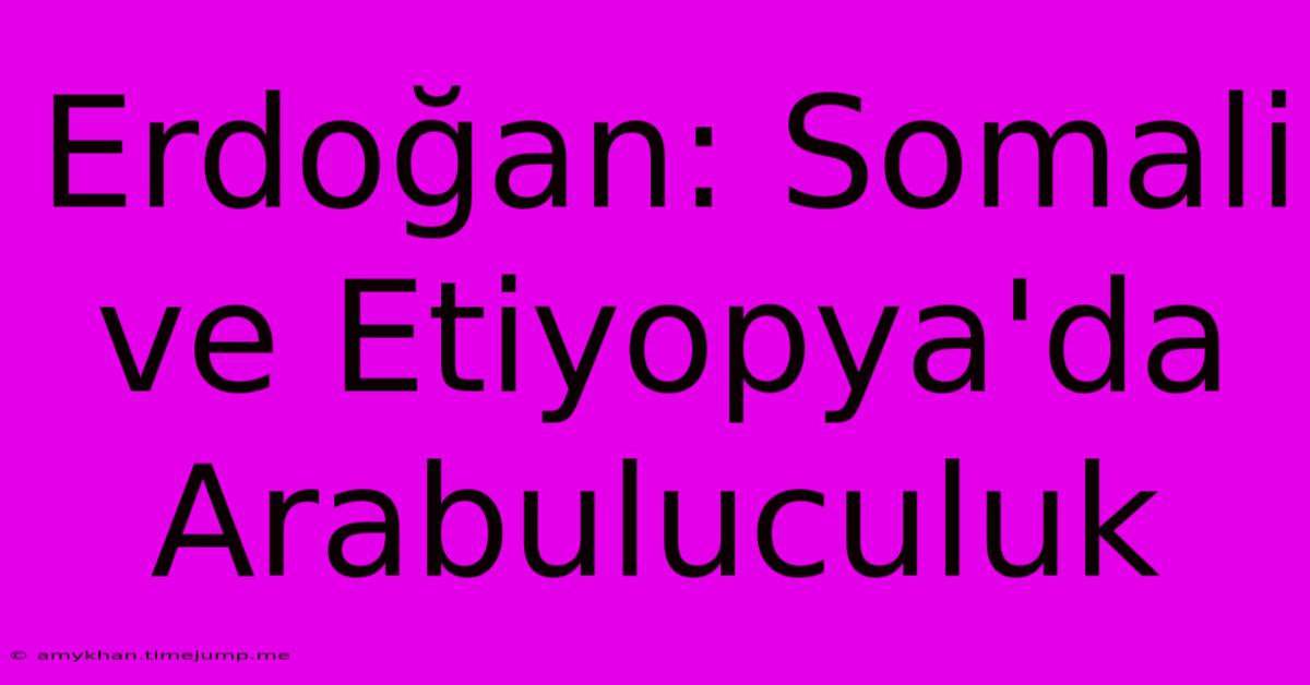 Erdoğan: Somali Ve Etiyopya'da Arabuluculuk