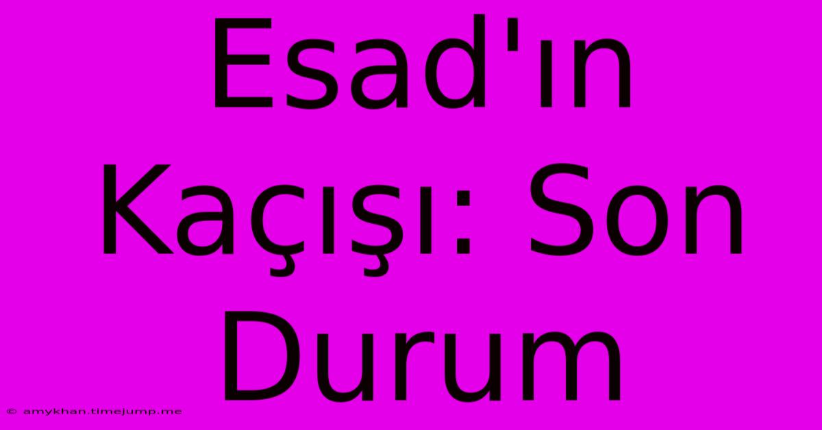 Esad'ın Kaçışı: Son Durum Esad'ın Kaçışı: Son Durum