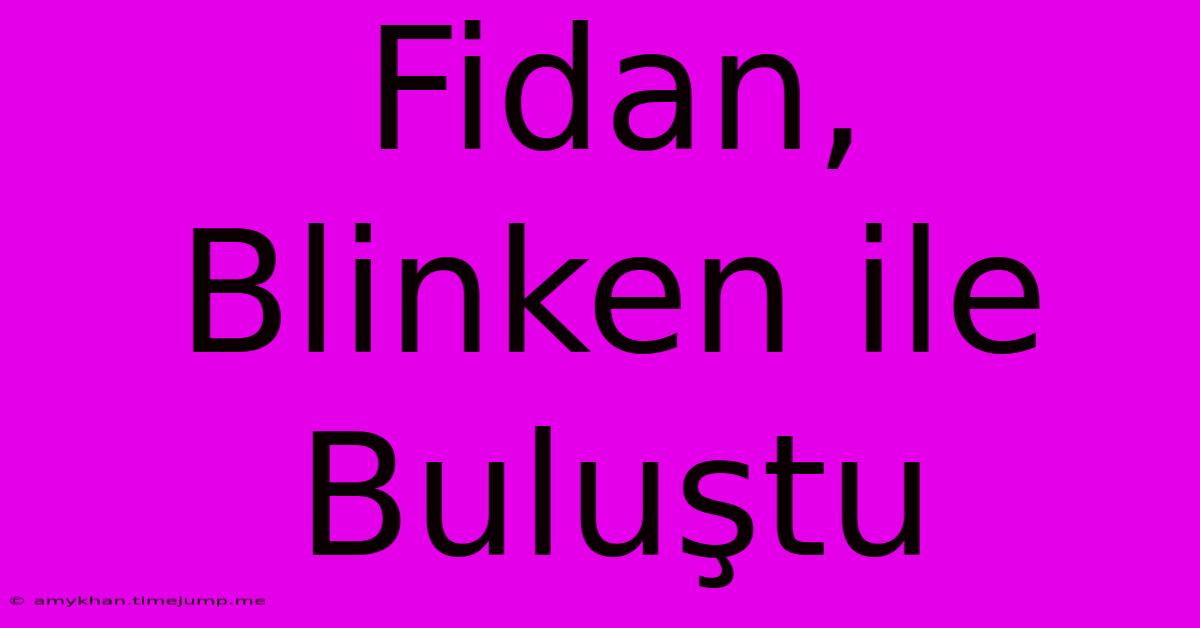 Fidan, Blinken Ile Buluştu