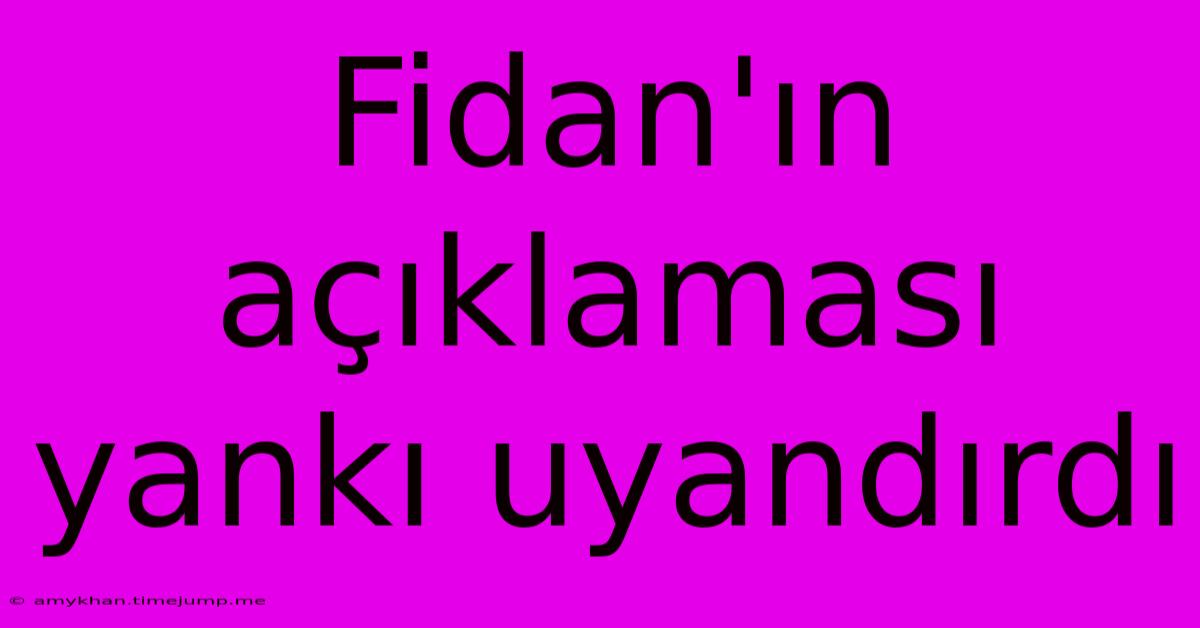 Fidan'ın Açıklaması Yankı Uyandırdı