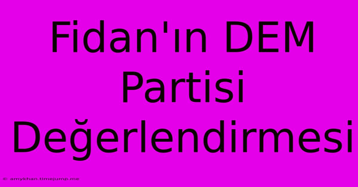 Fidan'ın DEM Partisi Değerlendirmesi