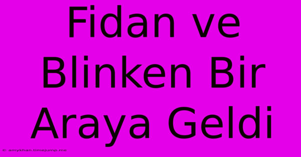 Fidan Ve Blinken Bir Araya Geldi