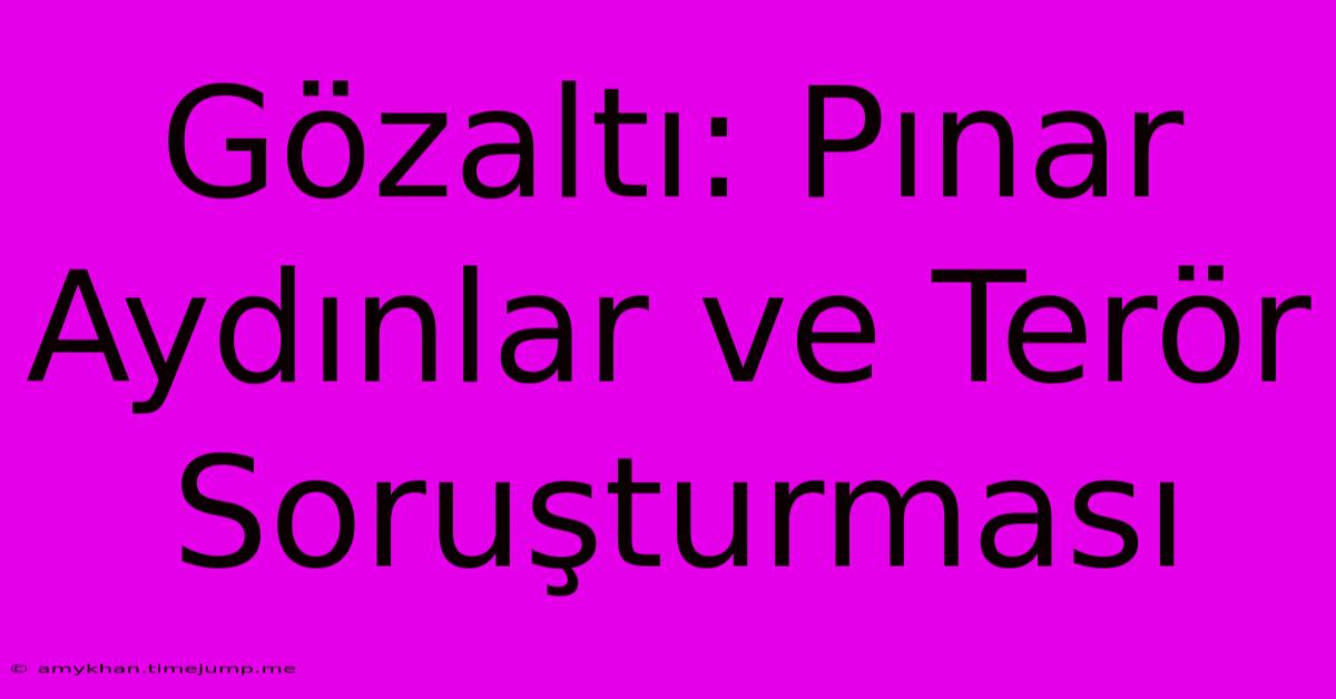 Gözaltı: Pınar Aydınlar Ve Terör Soruşturması