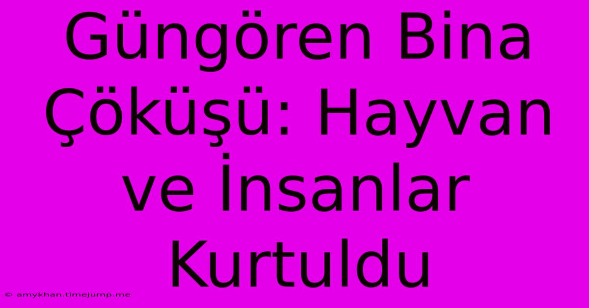 Güngören Bina Çöküşü: Hayvan Ve İnsanlar Kurtuldu