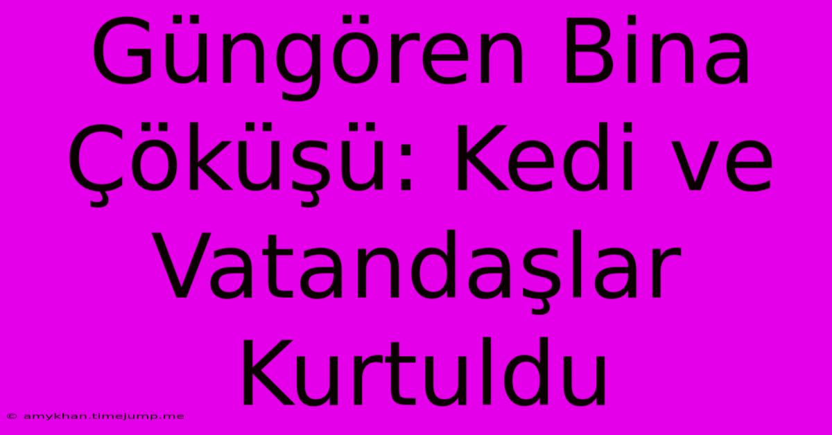 Güngören Bina Çöküşü: Kedi Ve Vatandaşlar Kurtuldu