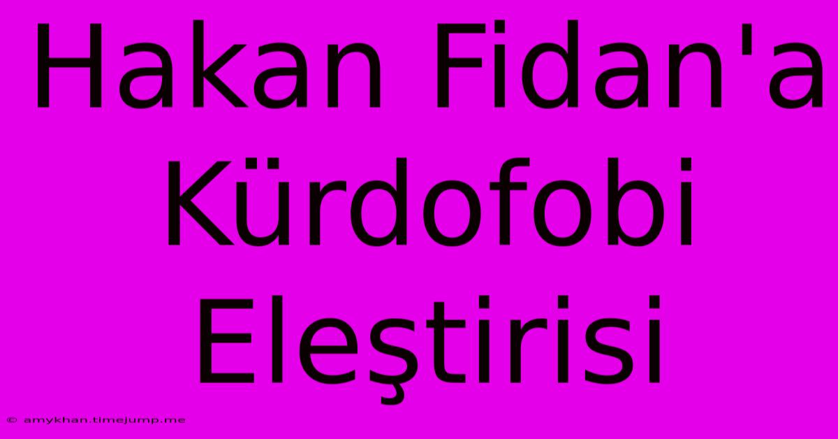 Hakan Fidan'a Kürdofobi Eleştirisi