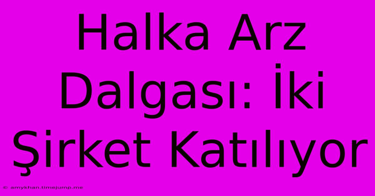 Halka Arz Dalgası: İki Şirket Katılıyor