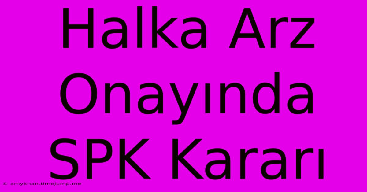 Halka Arz Onayında SPK Kararı