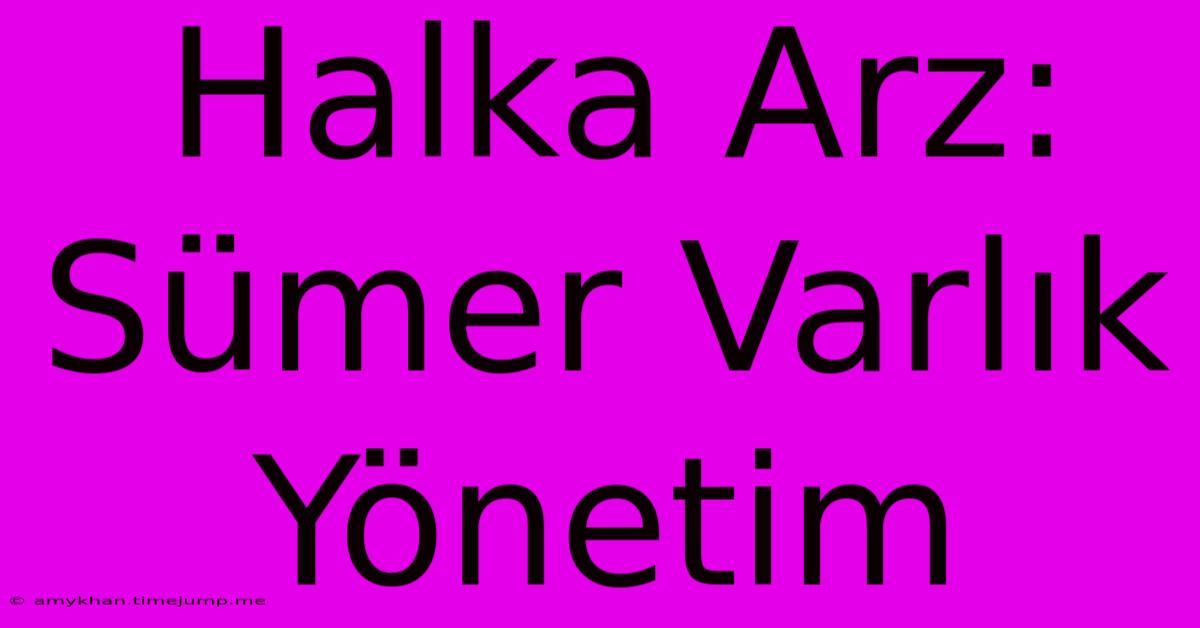 Halka Arz: Sümer Varlık Yönetim