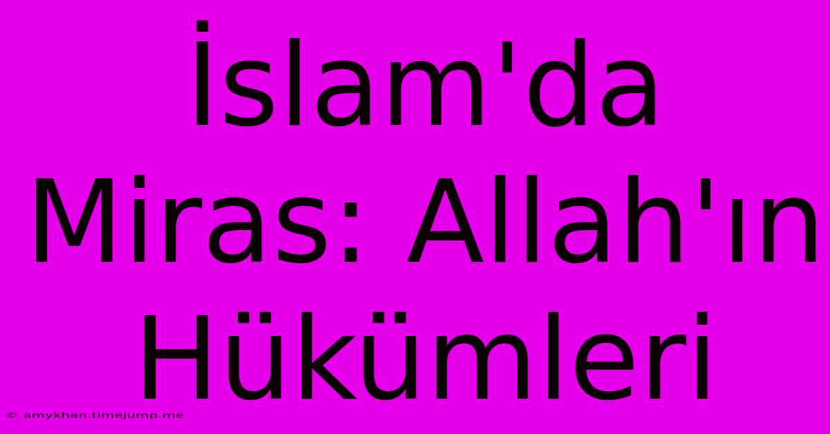 İslam'da Miras: Allah'ın Hükümleri