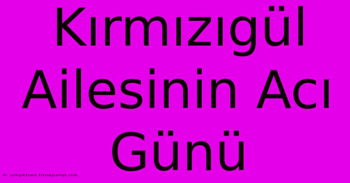 Kırmızıgül Ailesinin Acı Günü Kırmızıgül Ailesinin Acı Günü
