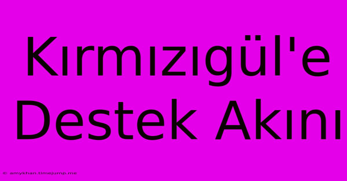 Kırmızıgül'e Destek Akını Kırmızıgül'e Destek Akını