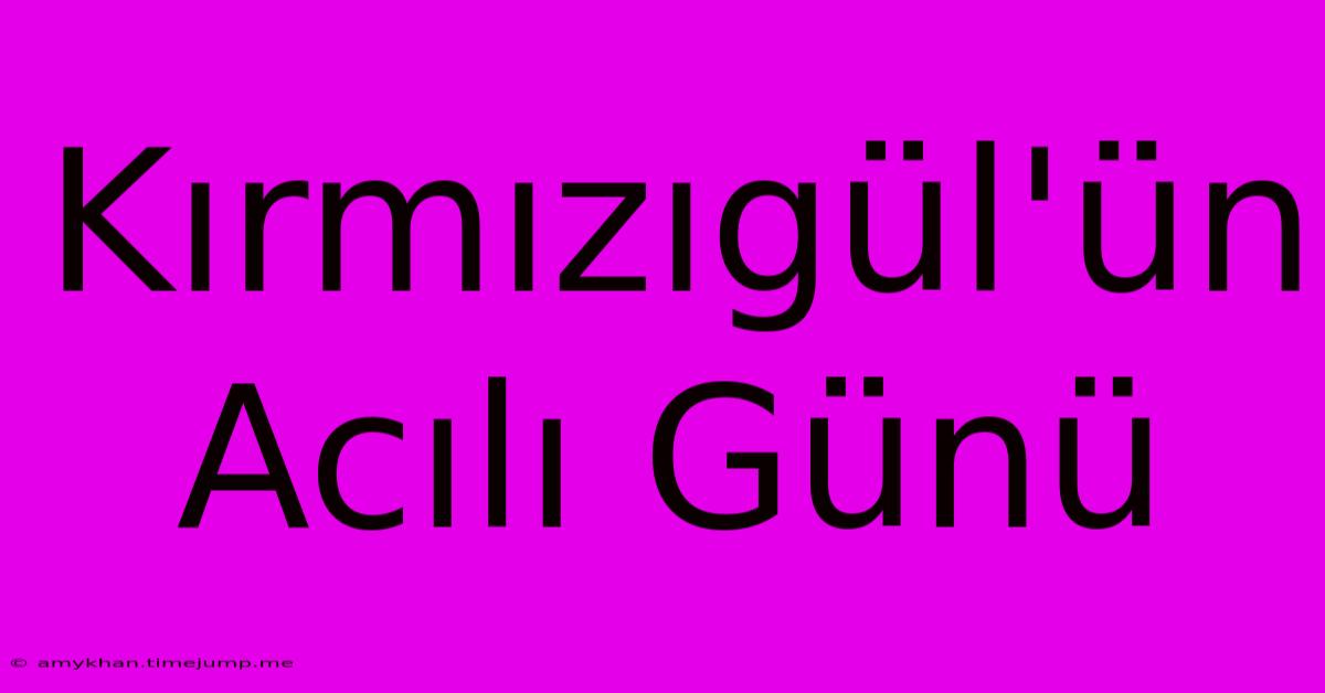 Kırmızıgül'ün Acılı Günü Kırmızıgül'ün Acılı Günü