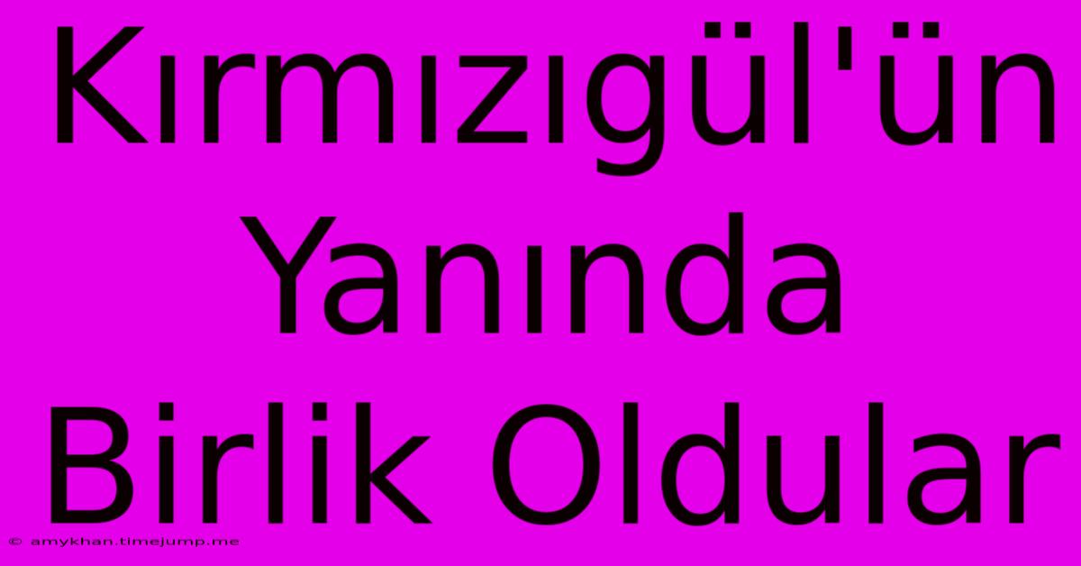 Kırmızıgül'ün Yanında Birlik Oldular Kırmızıgül'ün Yanında Birlik Oldular