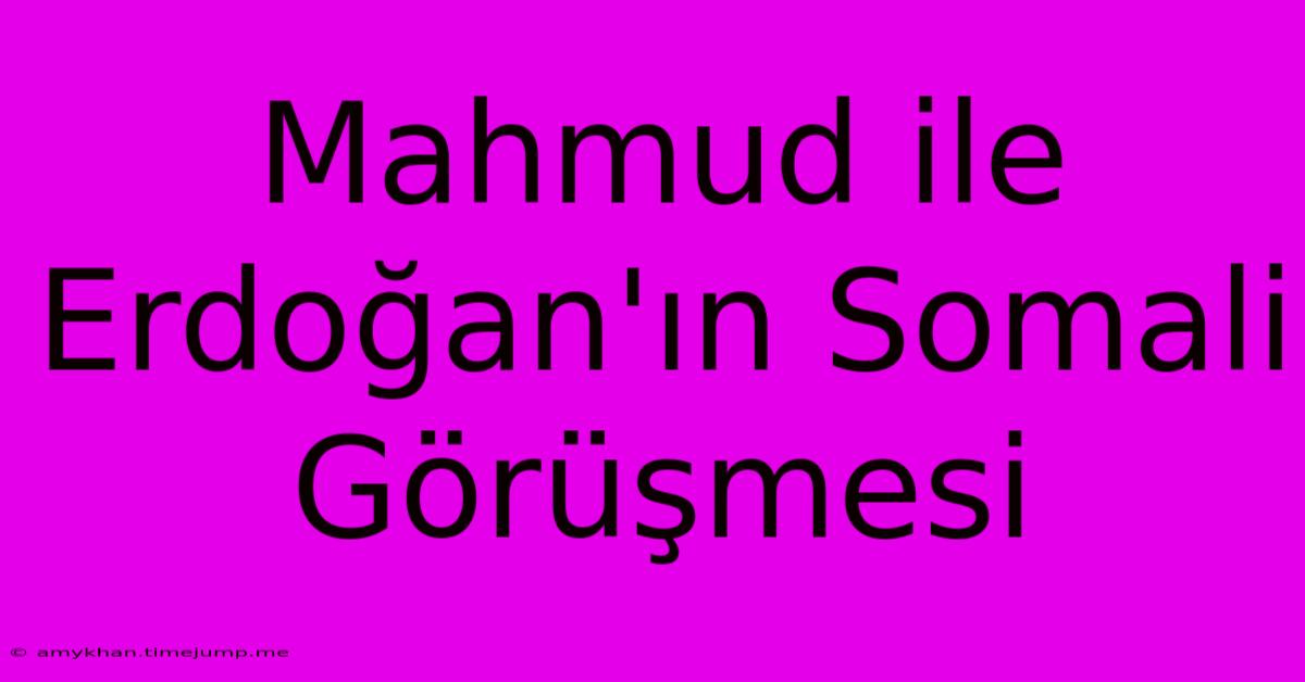 Mahmud Ile Erdoğan'ın Somali Görüşmesi