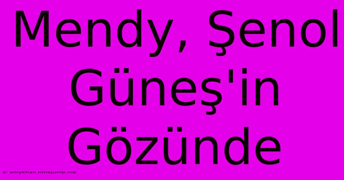 Mendy, Şenol Güneş'in Gözünde