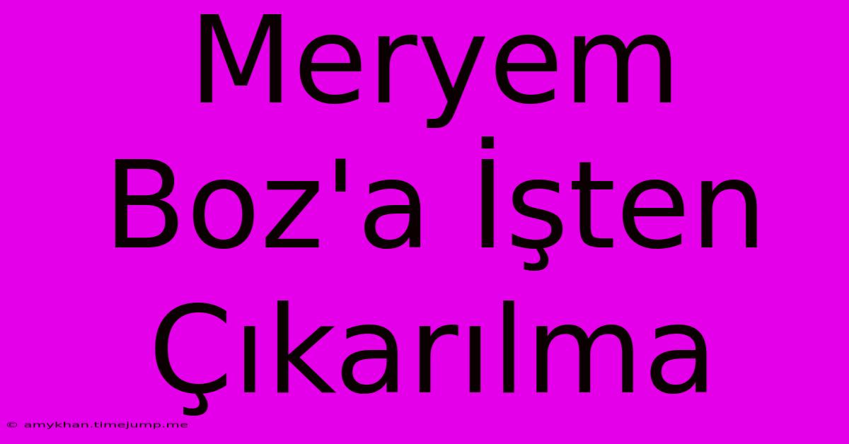 Meryem Boz'a İşten Çıkarılma Meryem Boz'a İşten Çıkarılma