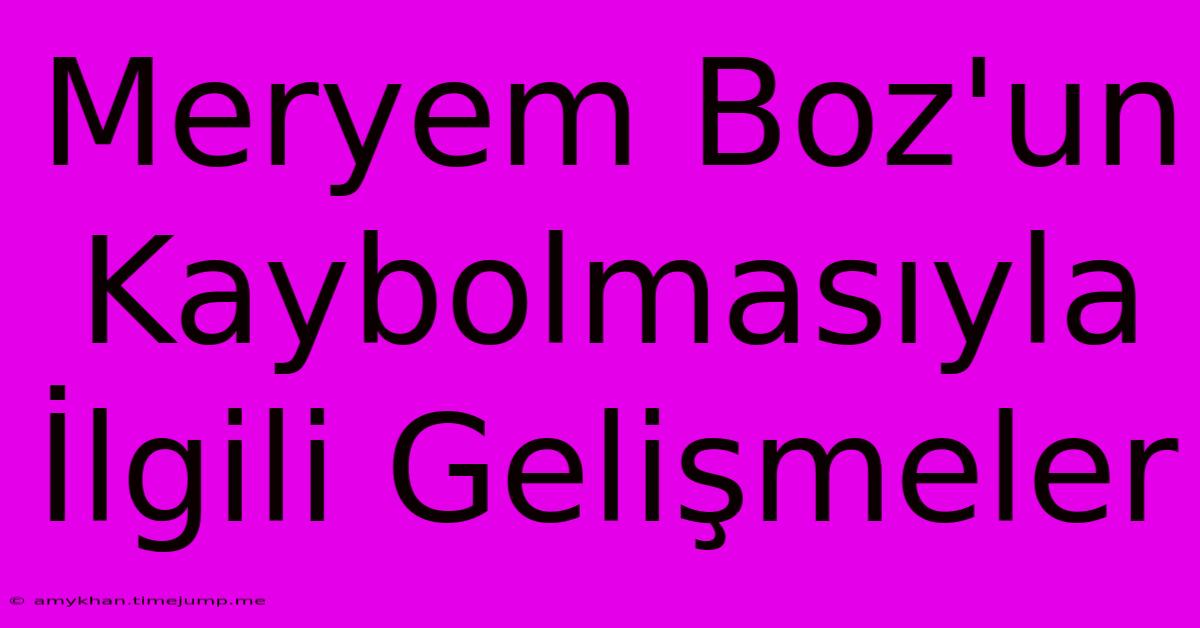 Meryem Boz'un Kaybolmasıyla İlgili Gelişmeler Meryem Boz'un Kaybolmasıyla İlgili Gelişmeler