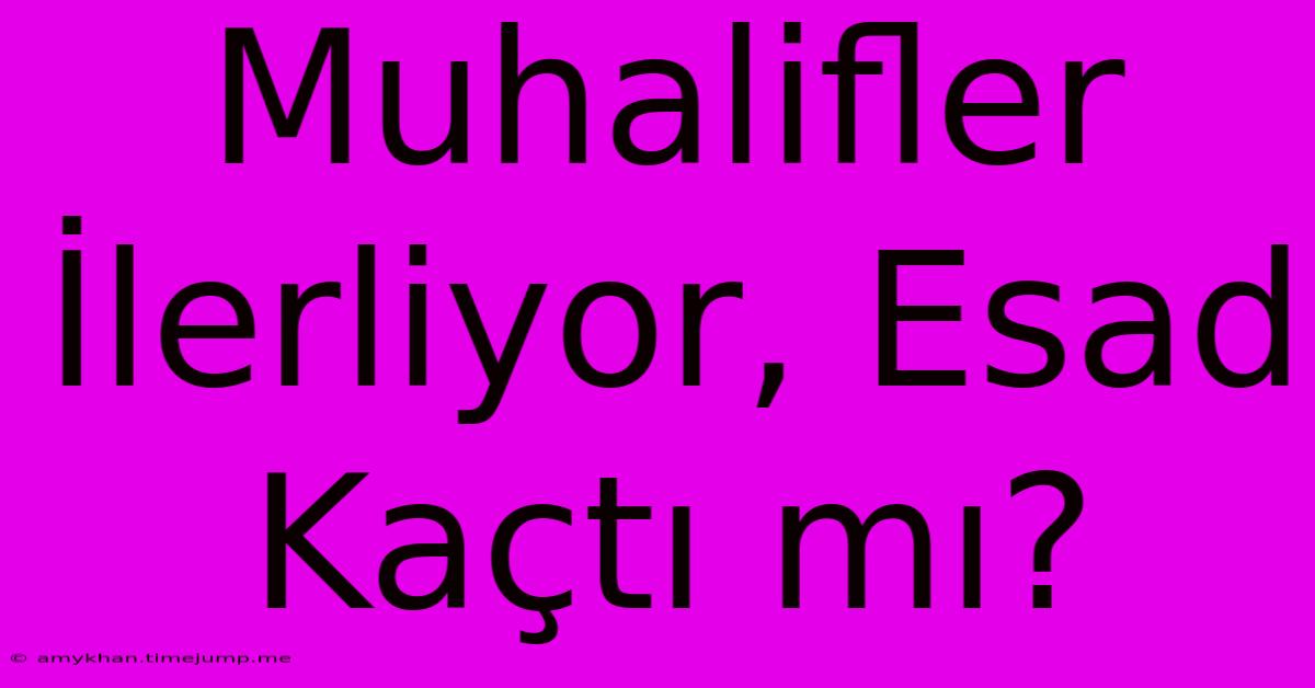Muhalifler İlerliyor, Esad Kaçtı Mı? Muhalifler İlerliyor, Esad Kaçtı Mı?