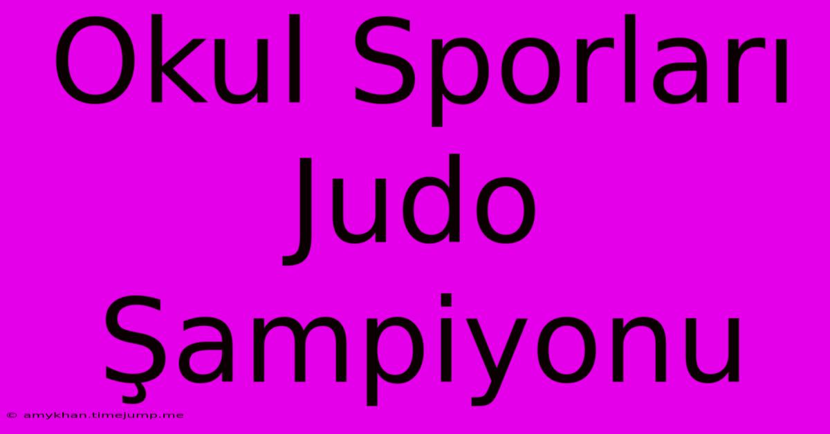 Okul Sporları Judo Şampiyonu