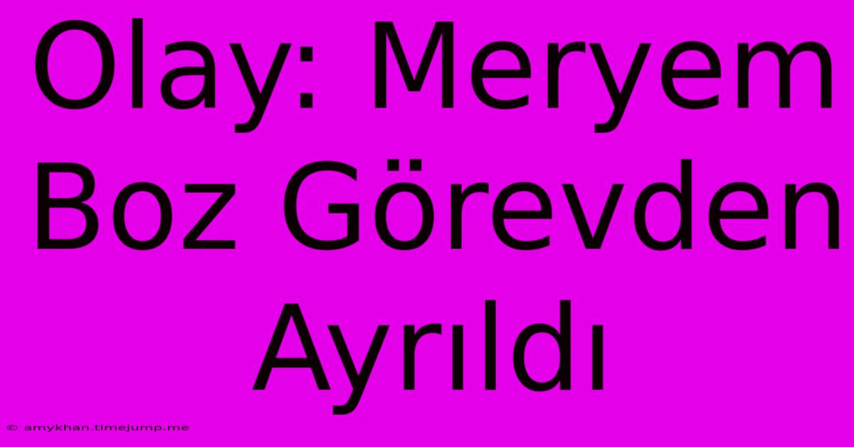 Olay: Meryem Boz Görevden Ayrıldı Olay: Meryem Boz Görevden Ayrıldı