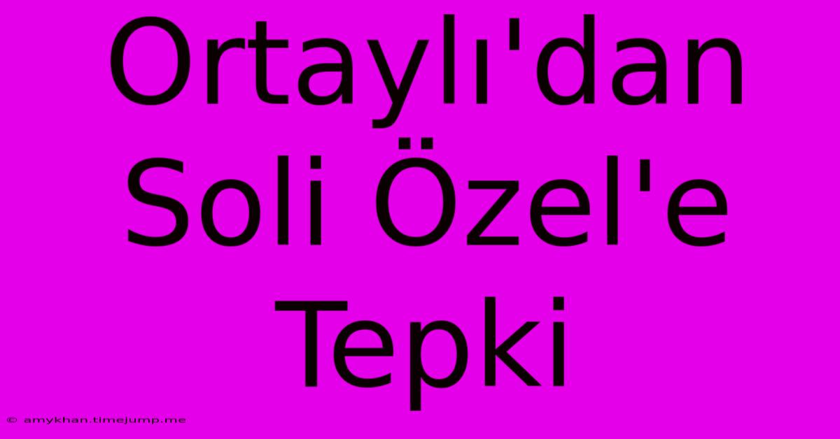 Ortaylı'dan Soli Özel'e Tepki