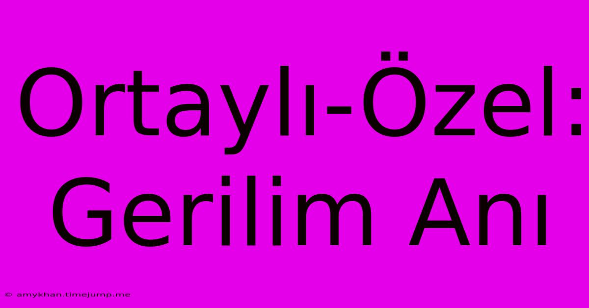 Ortaylı-Özel: Gerilim Anı