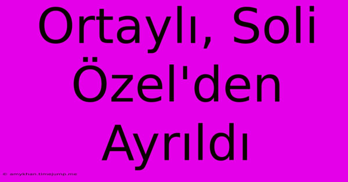 Ortaylı, Soli Özel'den Ayrıldı