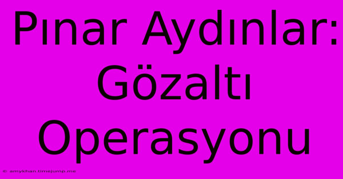 Pınar Aydınlar: Gözaltı Operasyonu