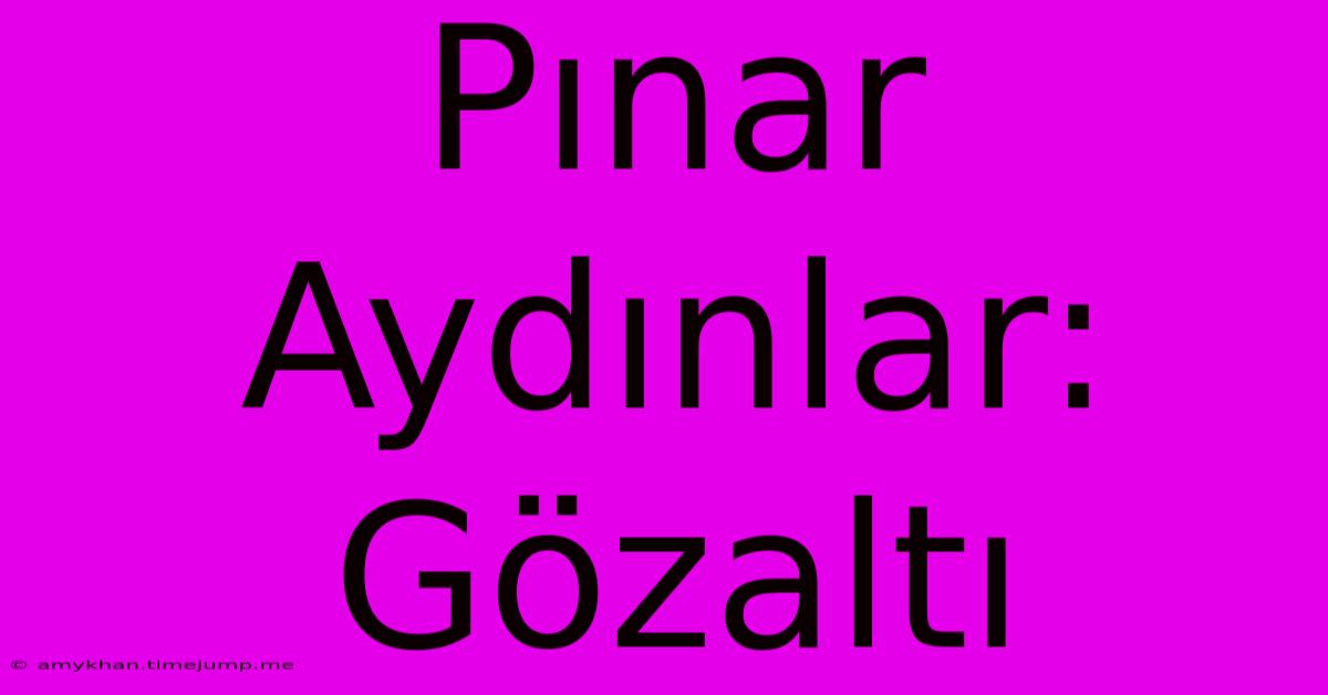 Pınar Aydınlar: Gözaltı