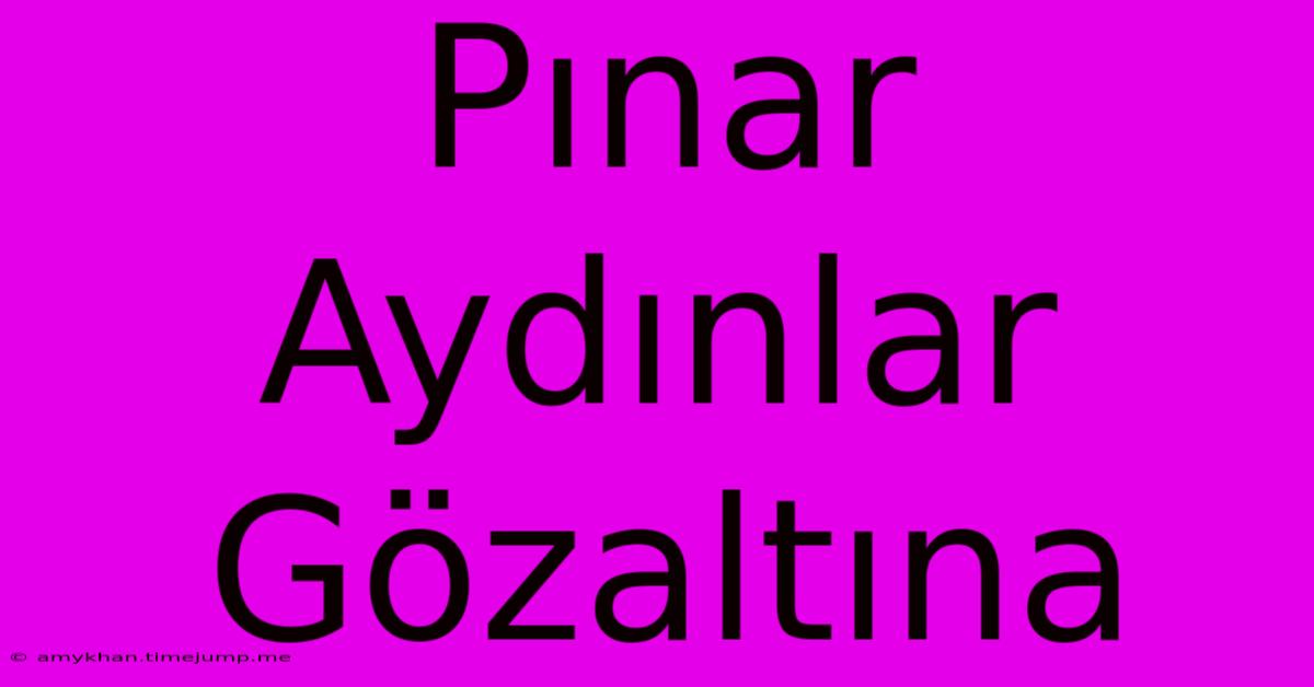 Pınar Aydınlar Gözaltına