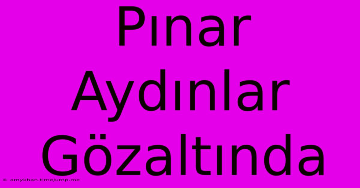 Pınar Aydınlar Gözaltında