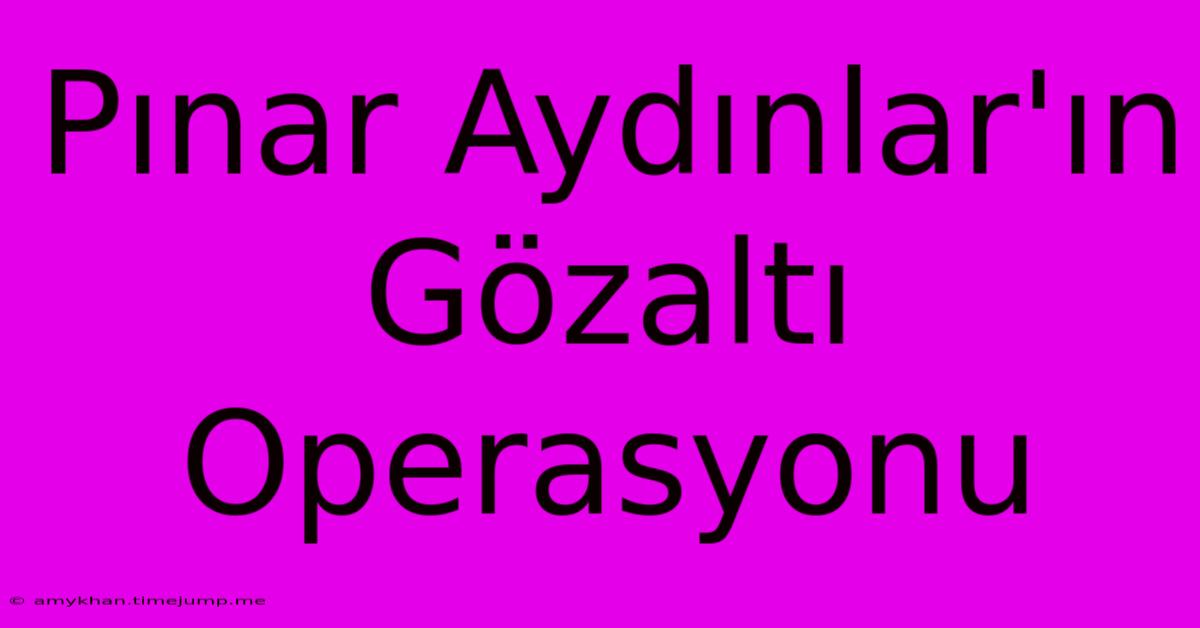 Pınar Aydınlar'ın Gözaltı Operasyonu