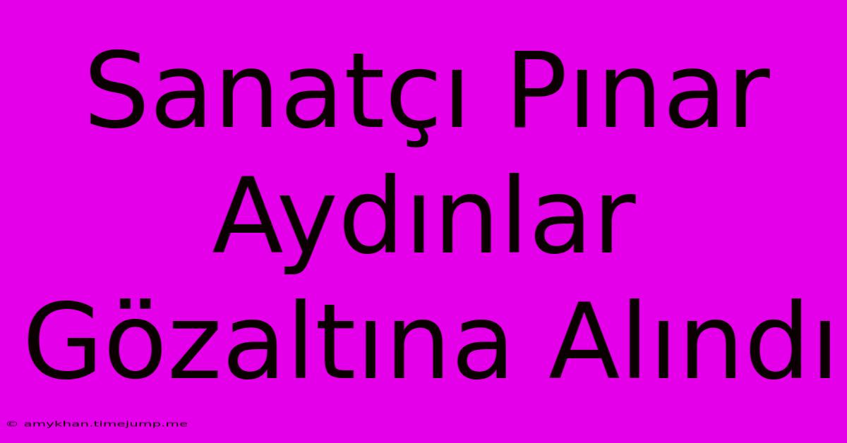 Sanatçı Pınar Aydınlar Gözaltına Alındı